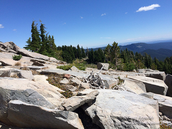 Mt Hood