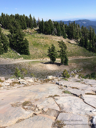 Mt Hood