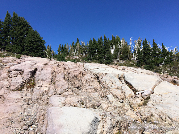 Mt Hood