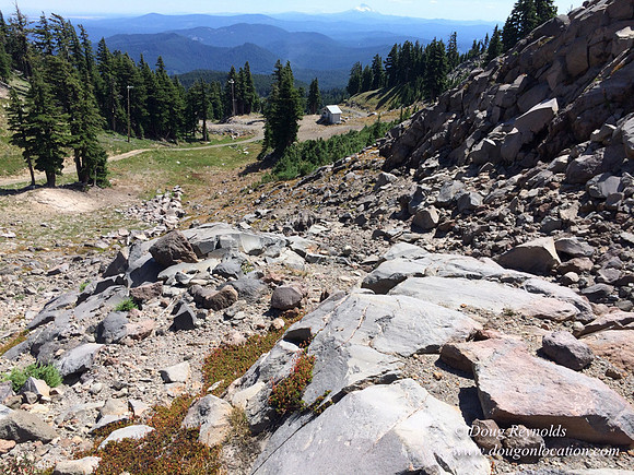 Mt Hood