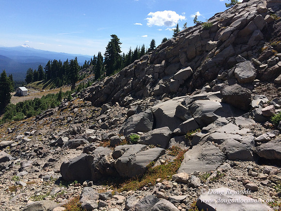 Mt Hood