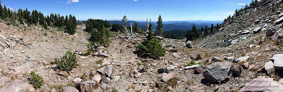 Mt Hood