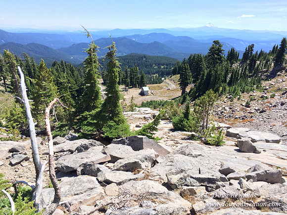 Mt Hood