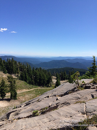 Mt Hood