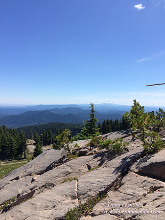 Mt Hood