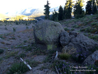 Mt Hood