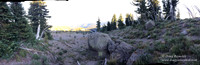 Mt Hood