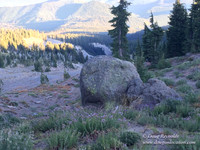 Mt Hood