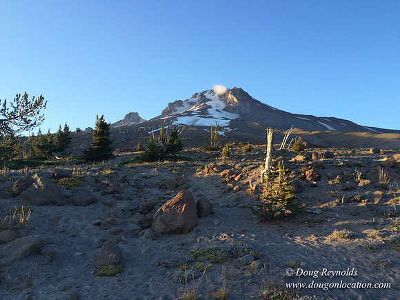Mt Hood