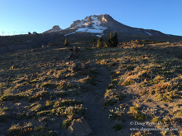 Mt Hood