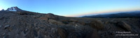 Mt Hood