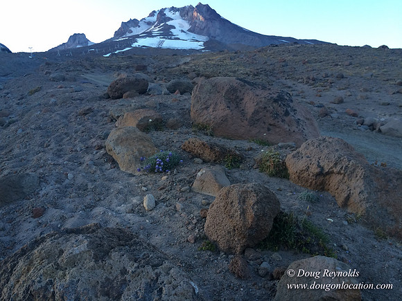 Mt Hood