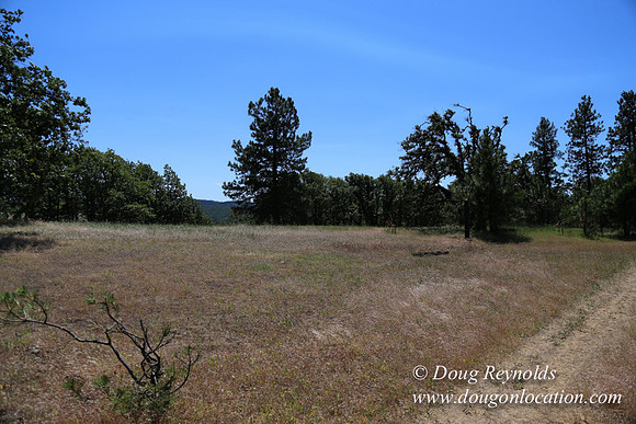 Brothers Ranch-8470