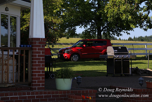 Marks House-6914