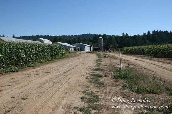 Farm 4 has Barns Shops they grow Wheat and Corn.  in the Portland Zone