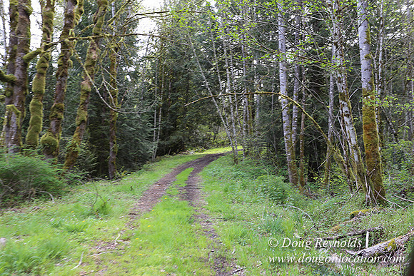 Brians Upper Rd-0052