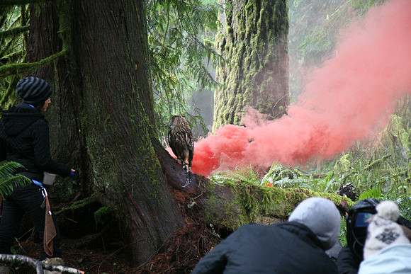 North Wind Production Photos