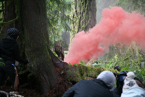 North Wind Production Photos