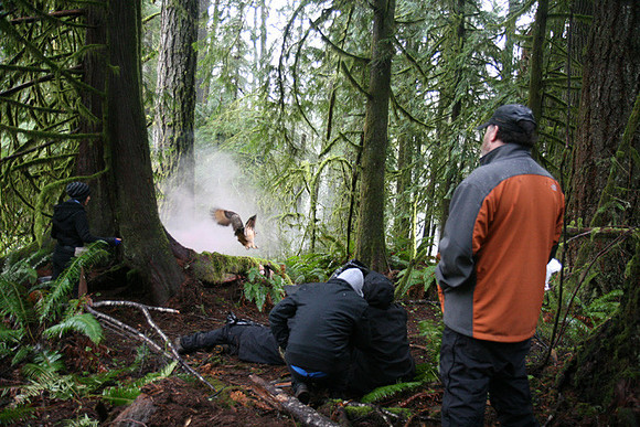 North Wind Production Photos