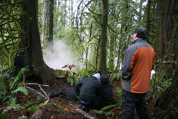 North Wind Production Photos