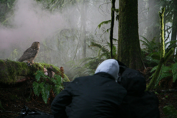 North Wind Production Photos