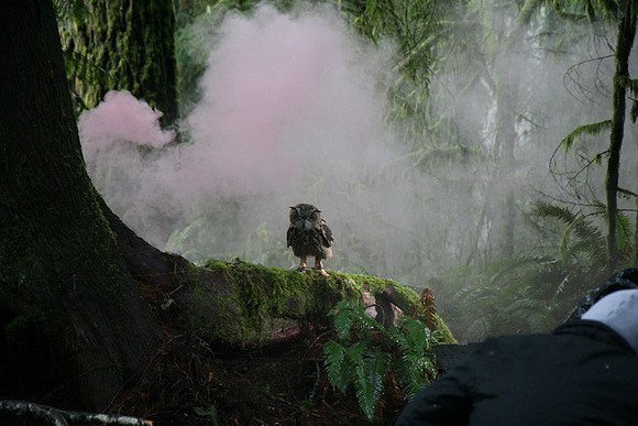 North Wind Production Photos