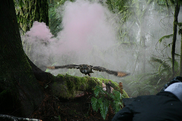 North Wind Production Photos