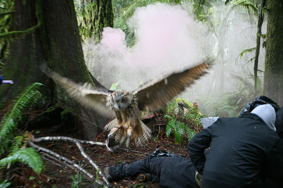 North Wind Production Photos