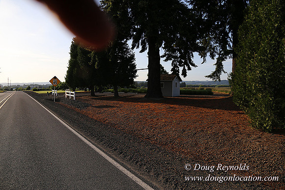 Toms Rd Side-6356