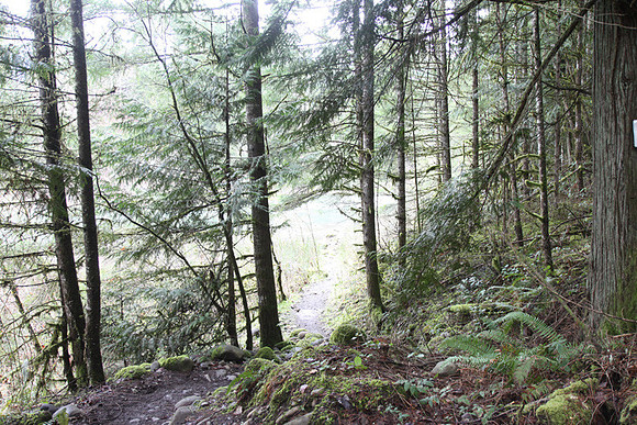 McIver Park Horse Trail 2-5181
