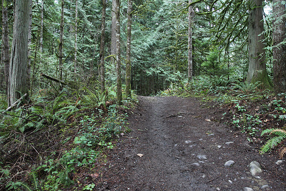 McIver Park Horse Trail 2-5180