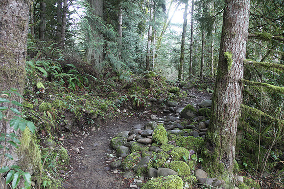 McIver Park Horse Trail 2-5182
