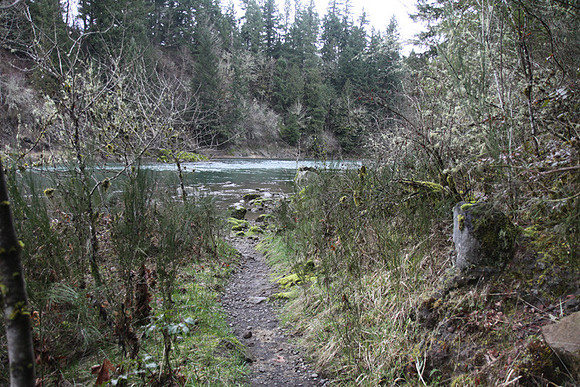 McIver Park Horse Trail 2-5184