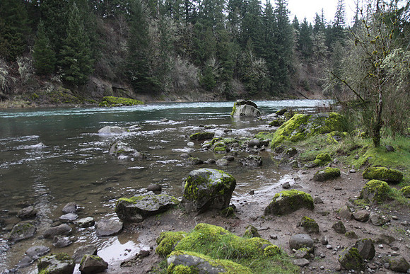 McIver Park Horse Trail 2-5185