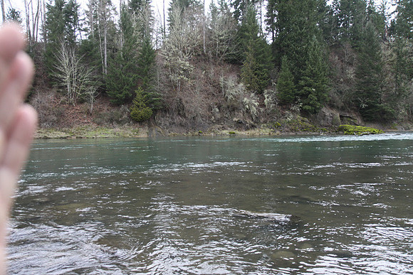 McIver Park Horse Trail 2-5186