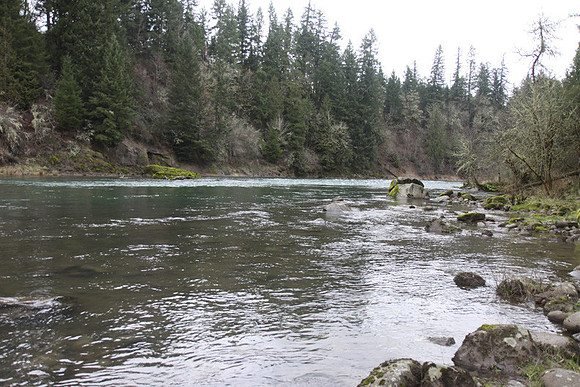 McIver Park Horse Trail 2-5187