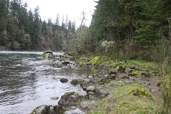 McIver Park Horse Trail 2-5188