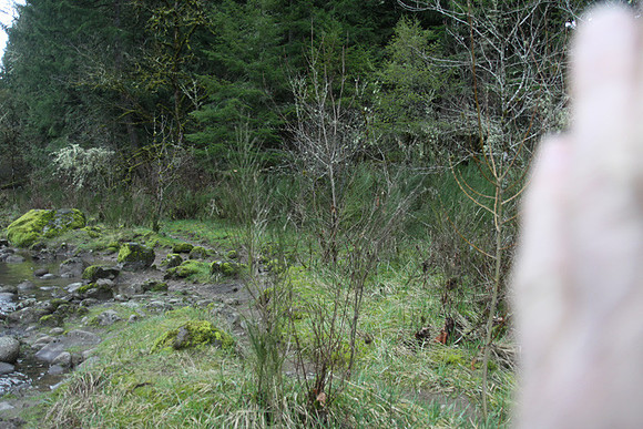 McIver Park Horse Trail 2-5189