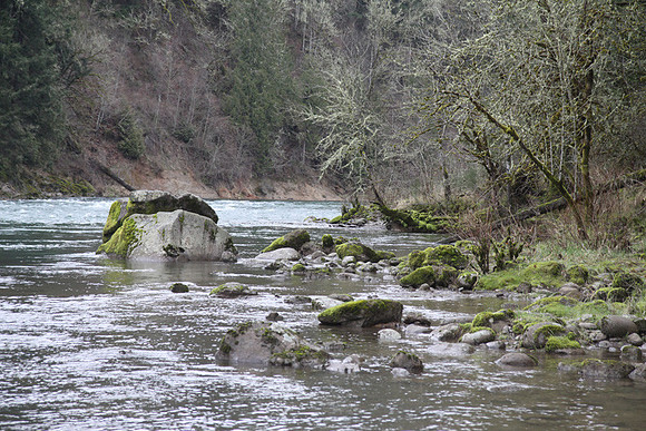McIver Park Horse Trail 2-5191