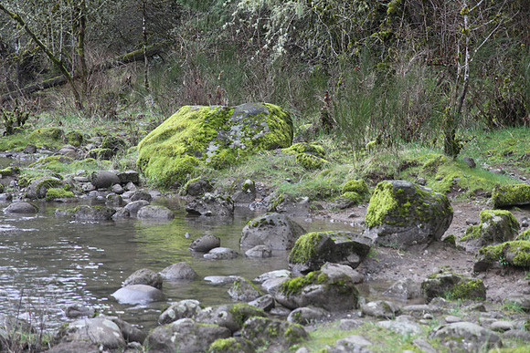 McIver Park Horse Trail 2-5192