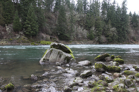 McIver Park Horse Trail 2-5194