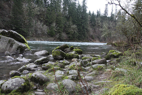McIver Park Horse Trail 2-5196