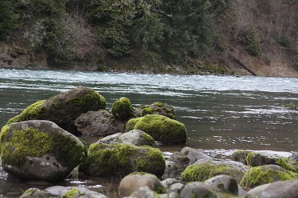 McIver Park Horse Trail 2-5197
