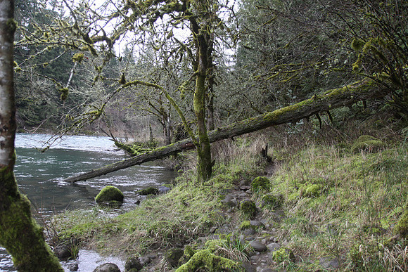 McIver Park Horse Trail 2-5199
