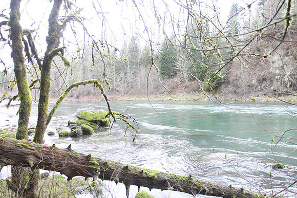 McIver Park Horse Trail 2-5203