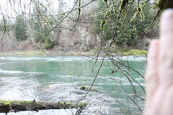 McIver Park Horse Trail 2-5204