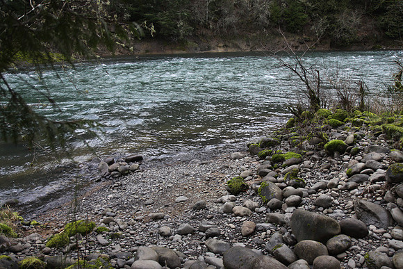 McIver Park Horse Trail 2-5205