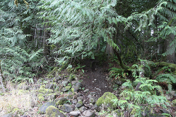 McIver Park Horse Trail 2-5206