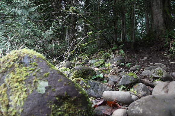 McIver Park Horse Trail 2-5207