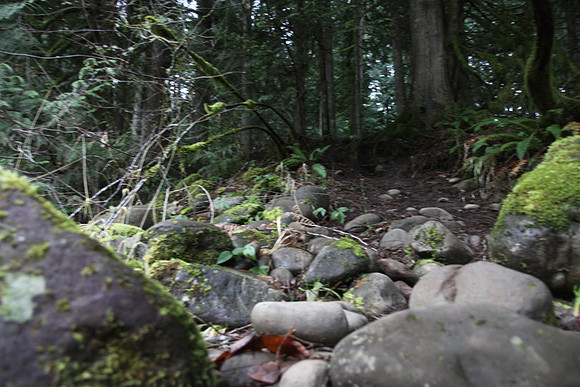 McIver Park Horse Trail 2-5208
